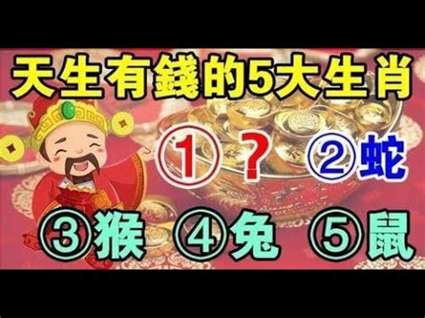 生肖適合的方位|十二生肖宅運大公開